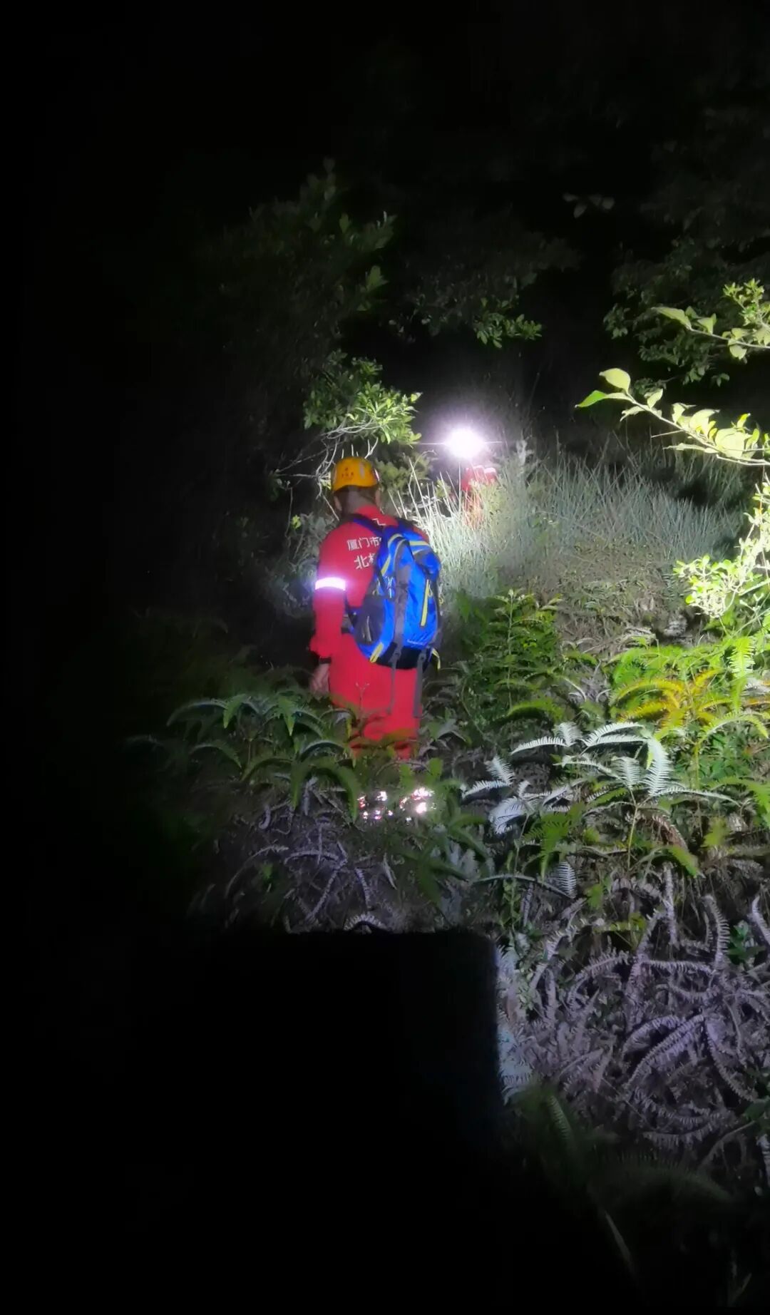 体力不支, 在一处密林